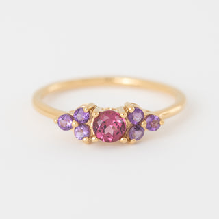 Leah Rhodolite and Amethyst ring Yellow  Gold