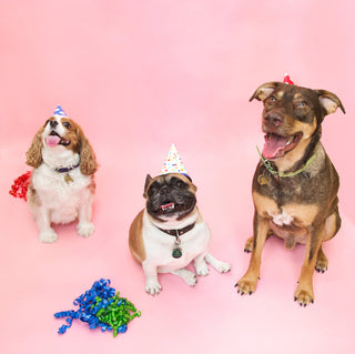 It's our Birthday!