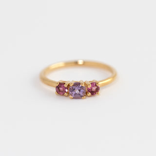 Neve Amethyst and Pink Tourmaline Gold Ring